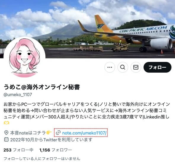 海外向けオンライン秘書の口コミは？SKILABO(スキラボ)は怪しいのか調査