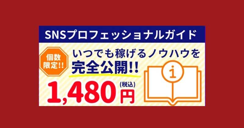 SNSのプロフェッショナルガイド1480円を販売